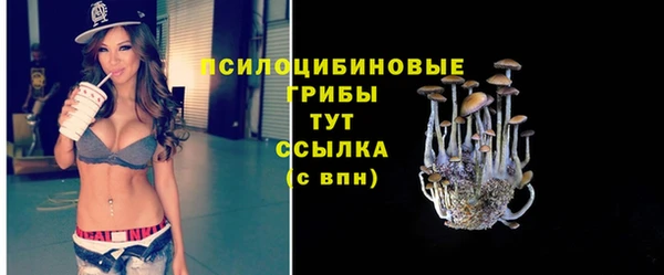 Альфа ПВП Лиски
