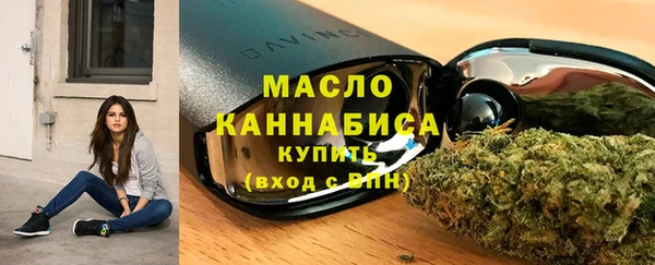 прущие грибы Гатчина