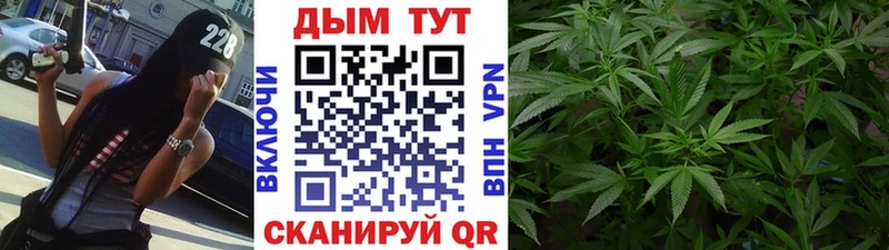 блэк спрут   Черноголовка  Бошки Шишки MAZAR 